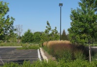 Parking Lot Bioswale Blanchard Alliance Church