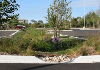 Parking Lot Bioswale Hubble Middle School