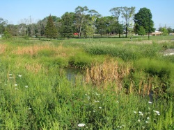 Naturalized Detention at the Blanchard Alliance Church