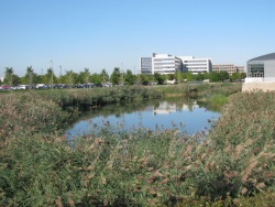 Naturalized Detention at International Brotherhood of Electrical Workers (IBEW) in Cantera