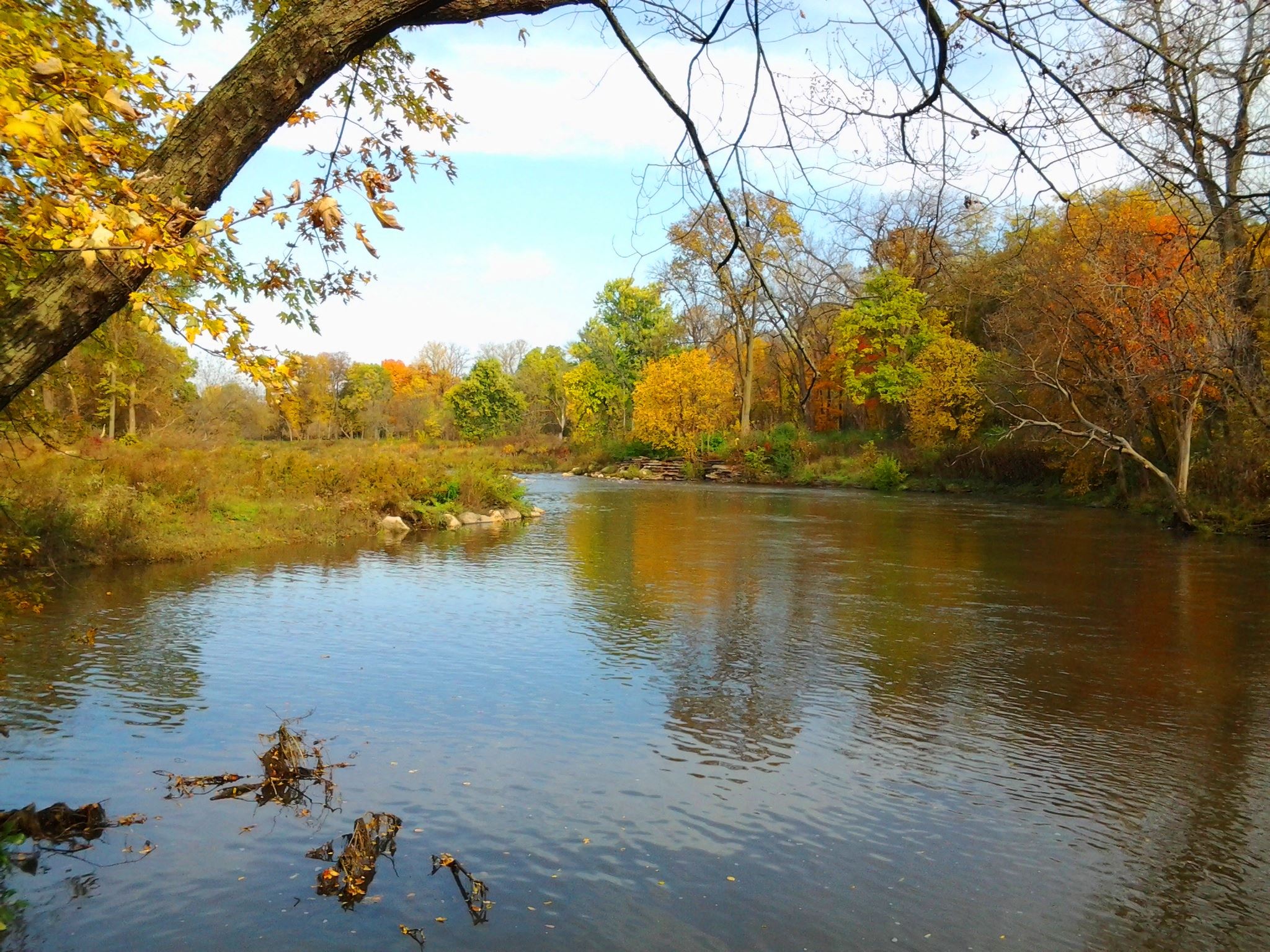 Image of river in the fall