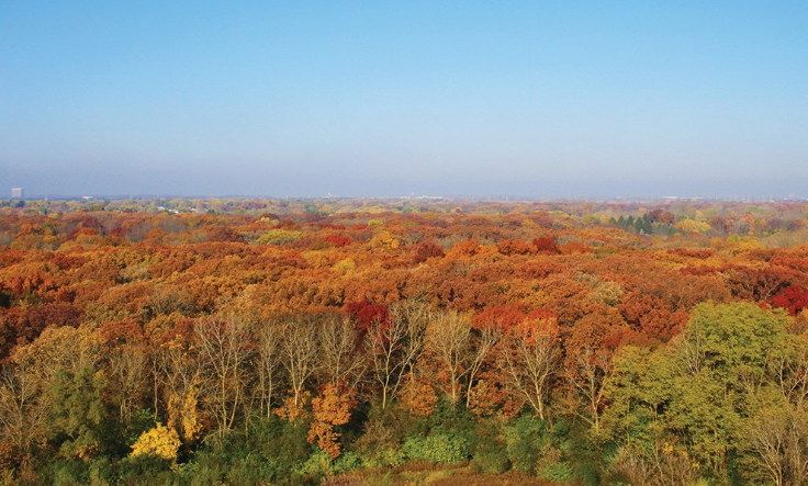 A View of orange, red, and yellow fall colors on trees at Blackwell Mount Hoy in Warrenville.