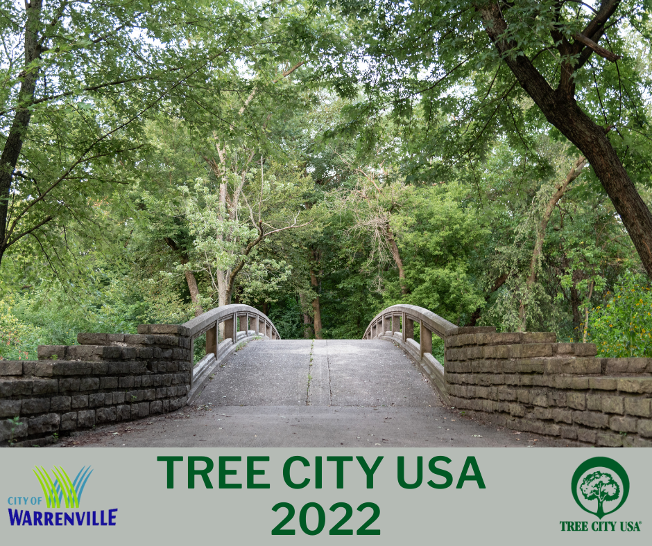 A photo of the trees surrounding Warrenville Grove bridge for the City's Tree City USA 2022 award
