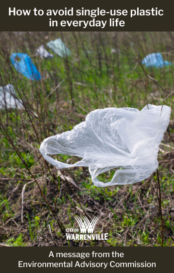 An image of a plastic bag littering a lawn.
