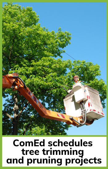 ComEd tree and vegetation work summer 2024